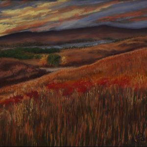 Flint Hills Reverie by Nancy Pontius