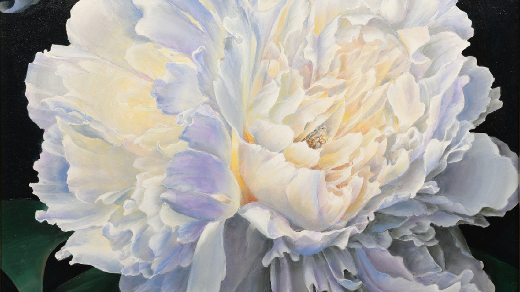 Peonies - Sunlit Luminescence by Naomi Ullum