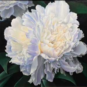 Peonies - Sunlit Luminescence by Naomi Ullum